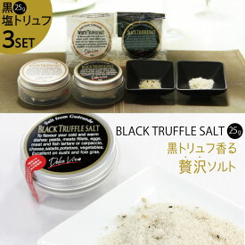 【ネコポス送料無料】 黒トリュフソルト 25g 3個セット ジャパンソルト Japan Salt イタリア産 黒トリュフ 海塩 トリュフ塩 塩トリュフ ドルチェヴィータ プチ贅沢 調味料 ステーキ 卵料理 パスタ ギフト プレゼント 贈り物 ポスト投函 日時指定不可