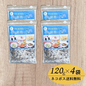 丸山食品 海鮮魔法塩 120g × 4袋 ネコポス送料無料 天然調味料 万能スパイスシーズニング 塩焼き 炒め物 焼肉 バーベキュー 魚介 肉料理におすすめ ポスト投函 日時指定不可 代引き不可