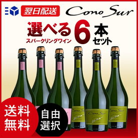 コノスル スパークリング ブリュット ロゼ チリ 750ml 6本 ワインセット 一部地域送料無料 コノスルセット 飲み比べ　ワインセット 飲み比べセット