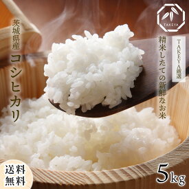 【お買い物マラソン特価】【令和7年度産】コシヒカリ 5kg 茨城県産 令和7年産 送料無料 こしひかり 単一原料米 5kg 米 コメ こめ 白米 5キロ 精米