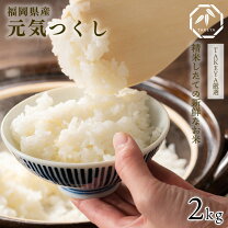 楽天市場】元気つくし 30kgの通販