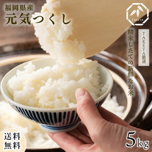 【新米】福岡県産「元気つくし」冷めても、もちもち、おいしい米 5kg -令和7年度産