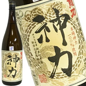 龍力 特別純米 「神力」 1800ml［月間優良ショップ受賞］