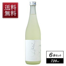 みずのかたち純米吟醸720ml×6本［常温］【3～4営業日以内に出荷】［月間優良ショップ受賞］【送料無料】