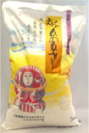 日本の米づくり百選の地　宮崎県えびの市産　えびのひのひかり 5kg [JAえびの]