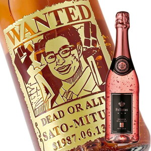 yVizȂCɁI@C G@  yXp[NOCztFX^X [ 750ml