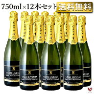 ハウメ・セラ　グラン・リベンサ　ブリュット・ナチュレ・ヴィンテージ・カヴァ　750ml×12本セット【通…