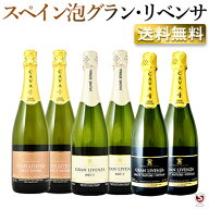 スペイン　カヴァ　ハウメ・セラ　グラン・リベンサ　ブリュット　泡3種各2本入り　6本セット【通常便 送…