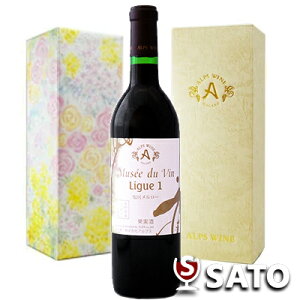 *~[EhDE@@[OEAK[@ 720ml@MtgBOXy5`9̓N[ւł̔z߁zAvXC