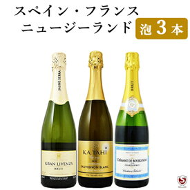 *フランス・スペイン・ニュージーランド　世界の泡　飲み比べ　お手軽　スパークリング3本セット【送料無料】【D3-011】