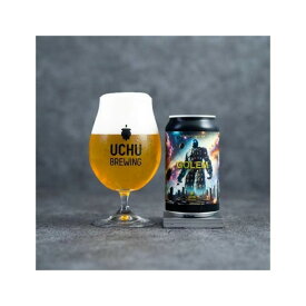 【クール限定】 うちゅうブルーイング GOLEM DDH WEST COAST IPA 6.5% 350ml×1本 山梨県 北杜 ギフト クラフトビール ビール 宇宙 酒のたなか 賞味期限：2025年10月8日