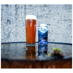 yN[֌zo[g~ CR[W[Y _xXgr^[Y 4.6% 440ml CMX Ar[   ̂ ƈ  Mtg  A[g ̂Ȃ 