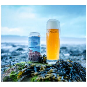 yN[֌zo[g~ VAhtg tHOy[G[ 4.8% 440ml CMX Ar[   ̂ ƈ  Mtg  A[g ̂Ȃ ܖ