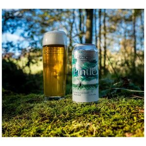 yN[֌zo[g~ sg y[G[ 4.3% 440ml CMX Ar[   ̂ ƈ  Mtg  A[g ̂Ȃ ܖF2026N62