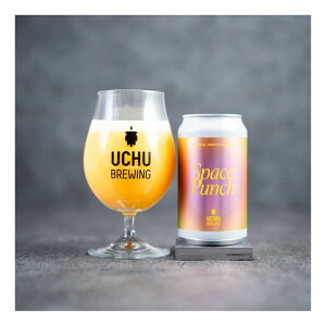 y1210ח\zyN[zイu[CO Space Punch TROPICAL SMOOTHIE SOUR 4% 350ml×1{ R km Mtg Ntgr[ r[ F ̂Ȃ ܖF2026N33