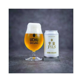 【クール限定】うちゅうブルーイング 宇宙PILS WEST COAST PILSNER 5% 350ml×1本 山梨県 北杜 ギフト クラフトビール ビール 宇宙 酒のたなか 賞味期限：2026年4月5日