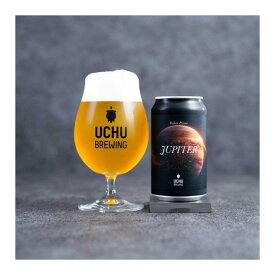 【クール限定】 うちゅうブルーイング JUPITER イタリアンピルスナー 5% 350ml×1本 山梨県 北杜 ギフト クラフトビール ビール ギフト 珍しい BBQ 飲み比べ セット 宇宙 酒のたなか 賞味期限：2026年5月18日