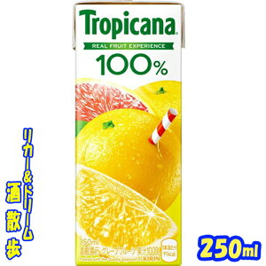 gsJ[i@yO[vt[cz250ml@pbN1P[X@24{yyVv~AΏہz