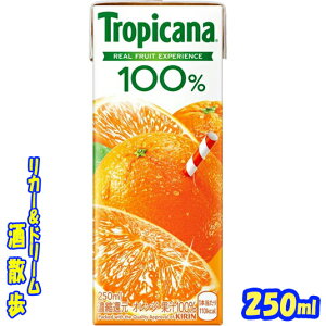 gsJ[i@yIWz250ml@pbN1P[X@24{yyVv~AΏہz