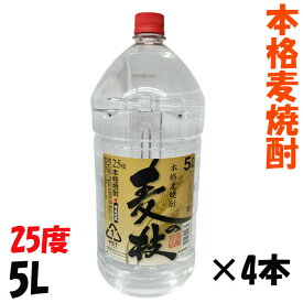 送料無料　濱田酒造　本格麦焼酎　麦の技　大容量　5リットル　白麹仕込　1ケース　4本入り　乙類