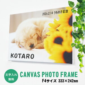 bZ[WyLoXtHgt[ F4TCYi333×242mmjzꖳ Z NT LoX ʐ^ tHgpl EH[fR A[g{[h CXg UV  vg 