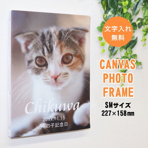 LoXtHgt[ SMTCYi227×158mmj bZ[W ꖳ Z LoX t[ LoX tHg pl EH[fR A[g{[h ʐ^ CXg UV  v