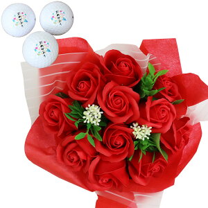  ԑ St{[ y \[vt[u[P 1   St{[ 3 z MtgZbg  S5F 񂰑ܕt cA[Xe[W XN\ ^CgXg u[P v[