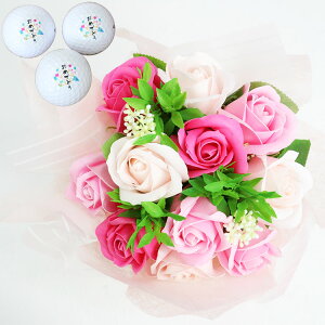  ԑ St{[ y \[vt[u[P 1   St{[ 3 z MtgZbg  S5F 񂰑ܕt cA[Xe[W XN\ ^CgXg u[P v[