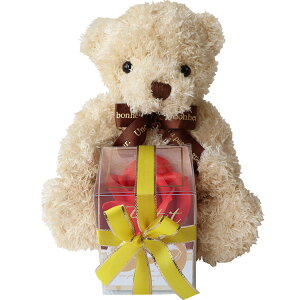  ʂ efBxA y HugHug efB { t[ZbgS oXtOX Petitiv`j z v[g  Hug nO ܂̂ʂ Teddy bear  xA ʂ  t