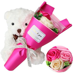  Mtg efBxA ԑ y HugHugefB { t[ZbgM \[vt[ tFA[u[Pz v[g Hug ܂̂ʂ ʂ  N} efBxA Teddy bear  ~j