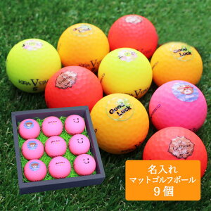  J[St{[ St{[y}bgdl9z@蕨 Mtg v[g z[C LOi StRy ii ̓ hV̓ ސEj a LXR kasco 