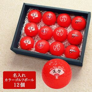  J[St{[ St {[  12yԁzҗfUC җ St ObY 蕨 Mtg v[g z[C LOi StRy ii ̓ ̓ hV