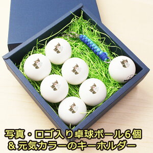 yʐ^ESz 싅{[6yL[z_[z CJ[ pR[h WpgbvN[g 싅 {[  s| 蕨@Mtg v[g LOi ii  