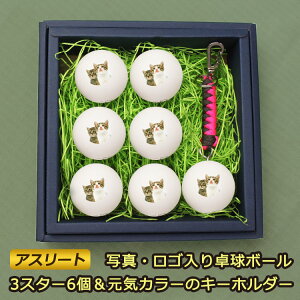 yʐ^ESz 싅{[6 AX[gdly L[z_[ zCJ[ pR[h 3X^[ v~AN[ 싅 {[  s| 蕨 Mtg v[g L