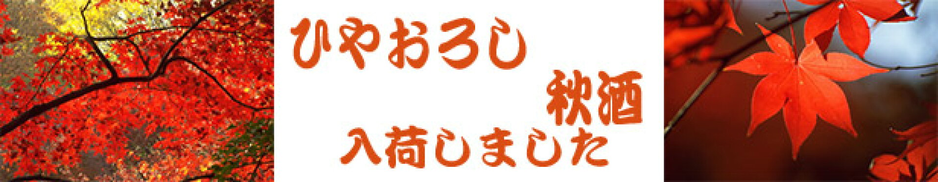 ひやおろし