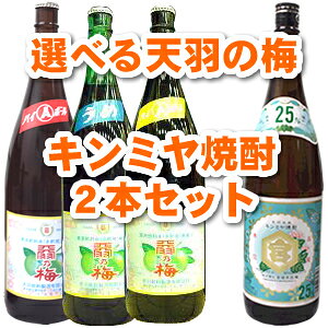 IׂVH̔~1800ml × 25x L~Ē1800ml@2{Zbg