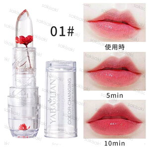 cs353# bvOX  8color g ێ t[ eBg bv ɂ  킢 PHbv ϕi bveBg CNAbv