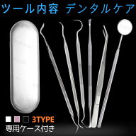 6本セット 歯石取り器具 自宅用 デンタルツール 専用ケース付き 歯間 ヤニ 歯垢取り 口臭予防 しこう取り…