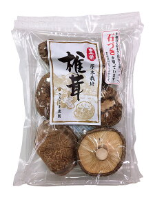 ؊ő 40g yY Ѝ͔|ؒőgpz