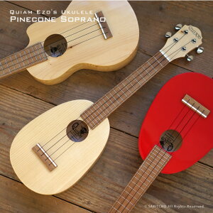 ウクレレ 赤の人気商品 通販 価格比較 価格 Com