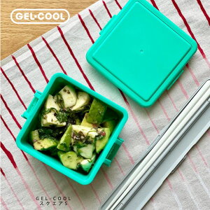 GEL-COOL `{bNX ۗ܈̌^ XNGAS[GEL-COOL^WFN[]OD쏊