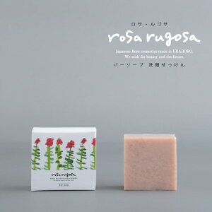 rosa rugosa o[\[v点 TESTykC@Yy@n}iX I[KjbNRXz