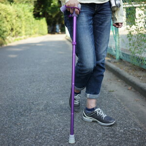 yzXebL []XPgR[g^Cvk4{܂肽݃^Cv/5iK߁l Xgbvt@{yzy[ց^sz sp g 蕨 