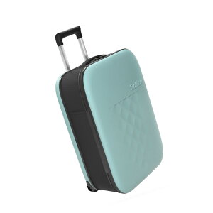 FLEX Vega X[cP[X 40L Rollink@[YX[N EH[O[ CG[ACX ANt@[ AgeBbNu[ ubN