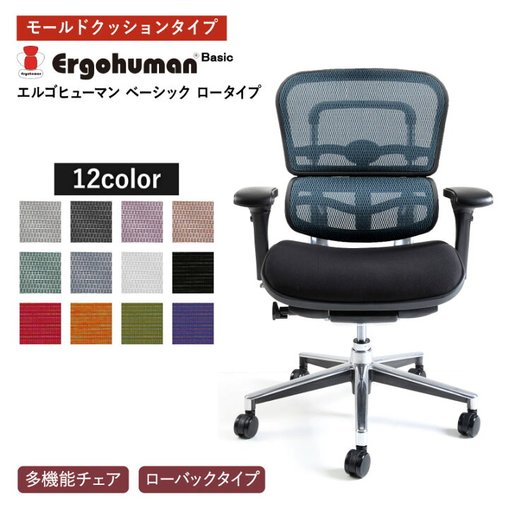 楽天市場 オフィスチェア エルゴヒューマン ベーシック ロータイプ モールドクッションタイプ リクライニング ローバック キャスター付 高さ調節 12色 アームレスト 肘置き オフィス 応接間 書斎 在宅 組立品 Ergohuman Basic Low Type Eh Lbm Web限定 Mt Sakoda