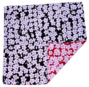 y󂠂z C~@` ӂ낵 `y{zӂ낵R~jP[VC~y畿EF × ԐF zɍl@ނyRC500~zGRW[ E ACeȁu