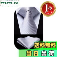 【送料無料】【楽天ランキング1位獲得】[HISDERN] フォーマル シルバー ネクタイ チーフ セット メンズ …