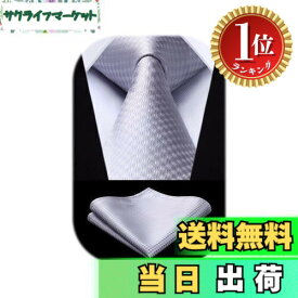 【送料無料】【楽天ランキング1位獲得】[HISDERN] フォーマル シルバー ネクタイ チーフ セット メンズ 結婚式 柄 シルク ブランド 紳士 礼服用 ビジネス 入学式 卒業式 プレゼント 高級 TC6