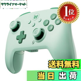 【送料無料】【楽天ランキング1位獲得】Nintendo Switch 2 Proコントローラー BIGBIG WON CHOCO Switch コントローラー Bluetooth無線/有線接続 連射機能 4階段HD振動 NFC機能 背面ボタン付き 128段階マク