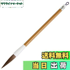 yzM K M 3  wZ  sp Oi (3-w)